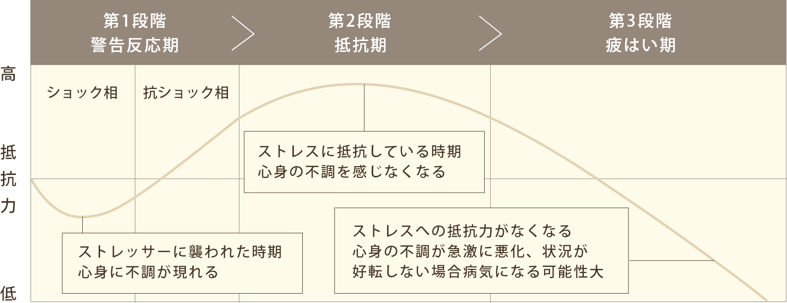 汎適応症候群の３つの段階（セリエ）